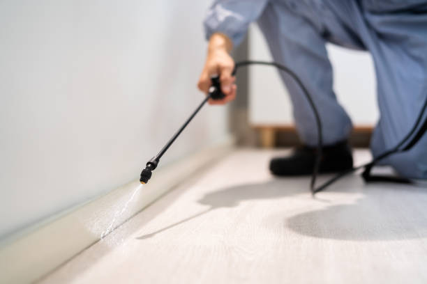 Licensed Wasp Removal service in Candor, NC - Show Me Pest Control