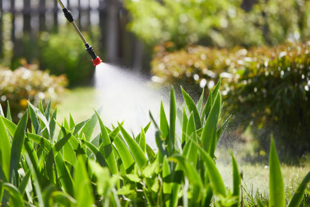 24/7 Emergency Wasp Removal experts in Candor, NC