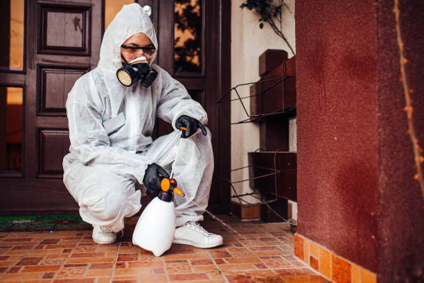 Reliable Wasp Removal contractor in Candor, NC by Show Me Pest Control